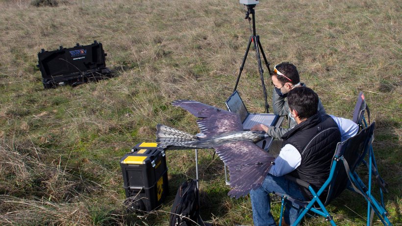 El equipo de Ventor Innovations en una operación de vuelo de V-RAPTOR para el control de aves